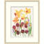 Summer Blooms 2 (38148) Framed Print