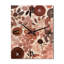 Graphique fleurs sauvages rétro pastel I - Horloges murales botaniques abstraites-1240089332