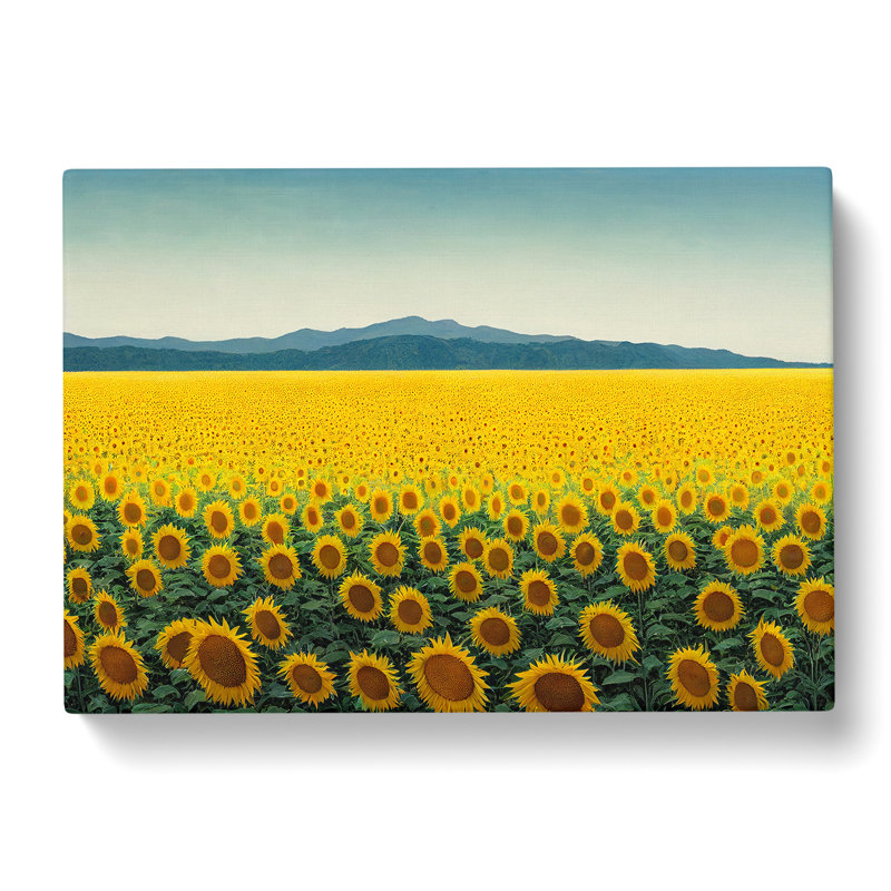 Extraordinary Sunflower Field - Wrapped Canvas, 35cm H x 50cm W x 3cm D