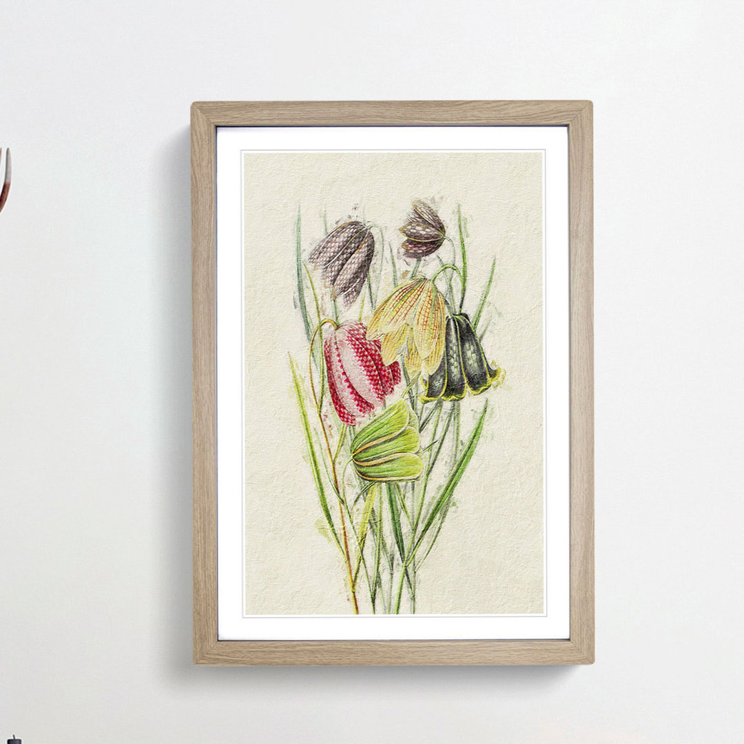 Illustration of Fritillaria Lily Flowers - Picture Frame Painting Print