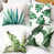 Green Floral