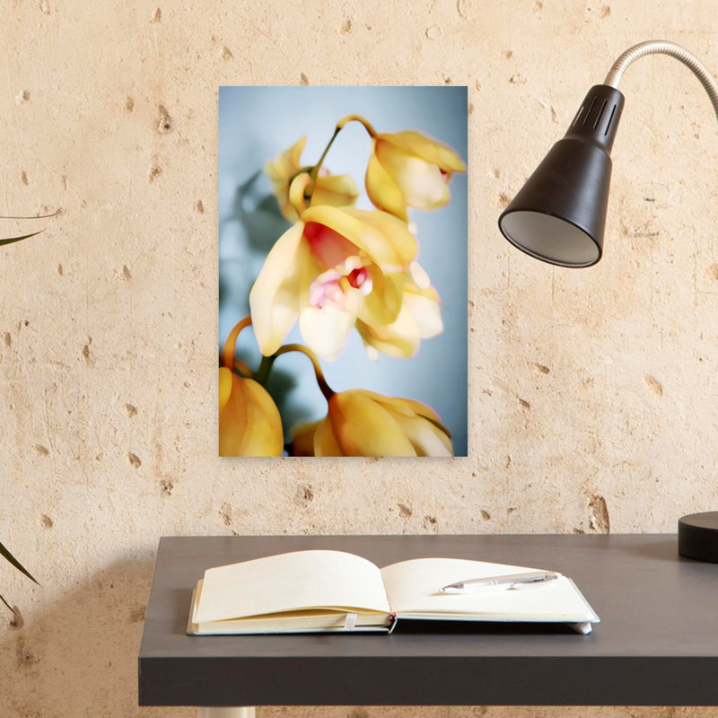 Contemporary Art Elegant Abstract Orchid Nature Tropical Wall Art by Angelo Cerantola - Wrapped Canvas Print