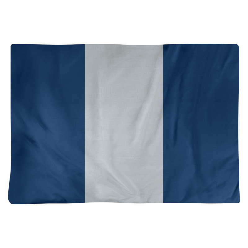 Récapitulatif 18" basket Washington, Bleu marine / argent / bleu marine, Polyester