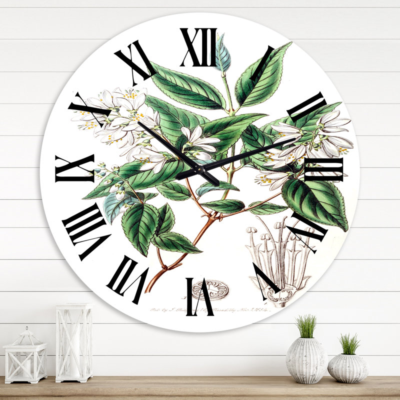 Vintage Botanicals X - Horloge murale traditionnelle, Moyenne