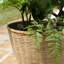 Akil Pot Planter