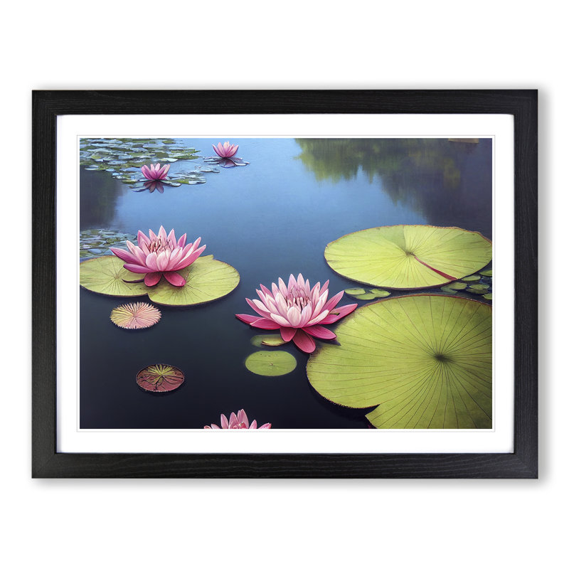 Beauty Of A Water Lily Pond - Single Picture Frame Print, 46cm H x 64cm W x 2cm D, Black Frame