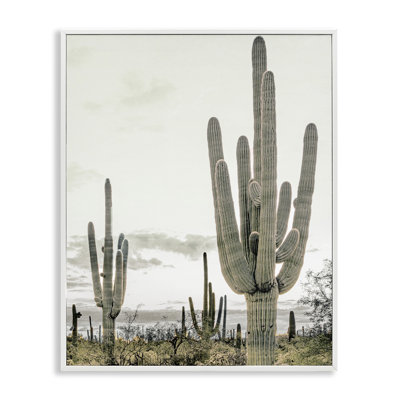 Subdued Desert Cacti Framed Giclee, design by Kim Allen