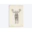 «Moose Study», reproduction sur toile-30004450-72448695-72448700