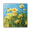 Summer Field I by Danhui Nai - Print on Canvas-692016722-692016716