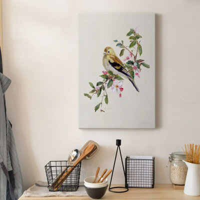 " Spring Song Pine Grosbeak "