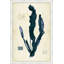 Indigo Sea Grass II Print-107148983