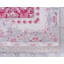 Tapis traditionnel traditionnel Dashamir rouge