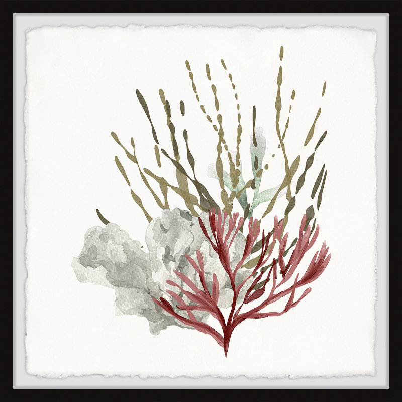 Prairie Grove Seaweed And Corals B by Marmont Hill - Single Picture Frame Painting