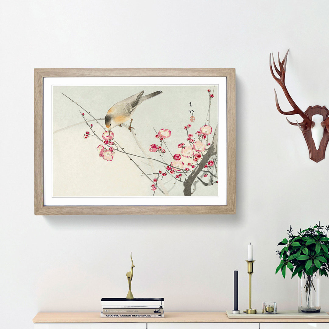 Songbird on a Blossom Branch by Ohara Koson - Framed Print