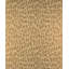 Phango Animal Print Fabric