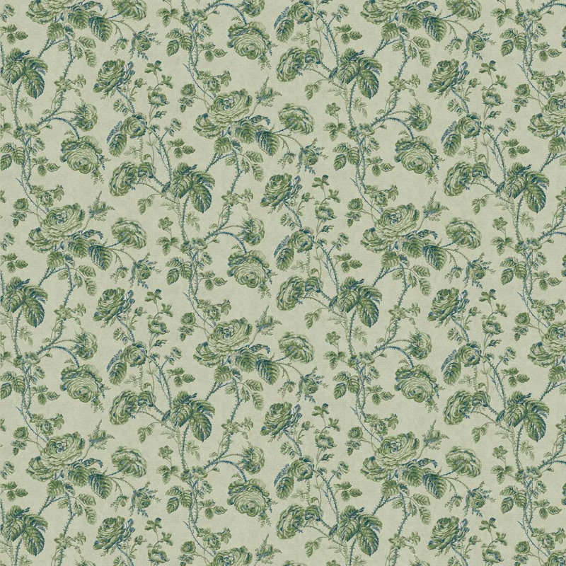 Thorny Vine, Evergreen