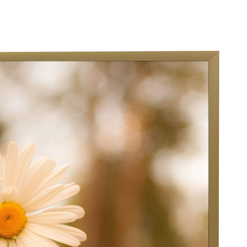 Ayden Metal Poster Picture Frame  with Real Glass, 24" H x 20" W x 1.81" D, Gold