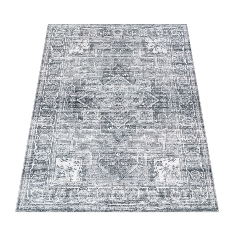 Chilcott Oriental Area Rug, Rectangular 240 x 340 cm