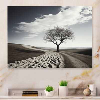 «Modern Scandinavian Serene Photographie I» sur métal