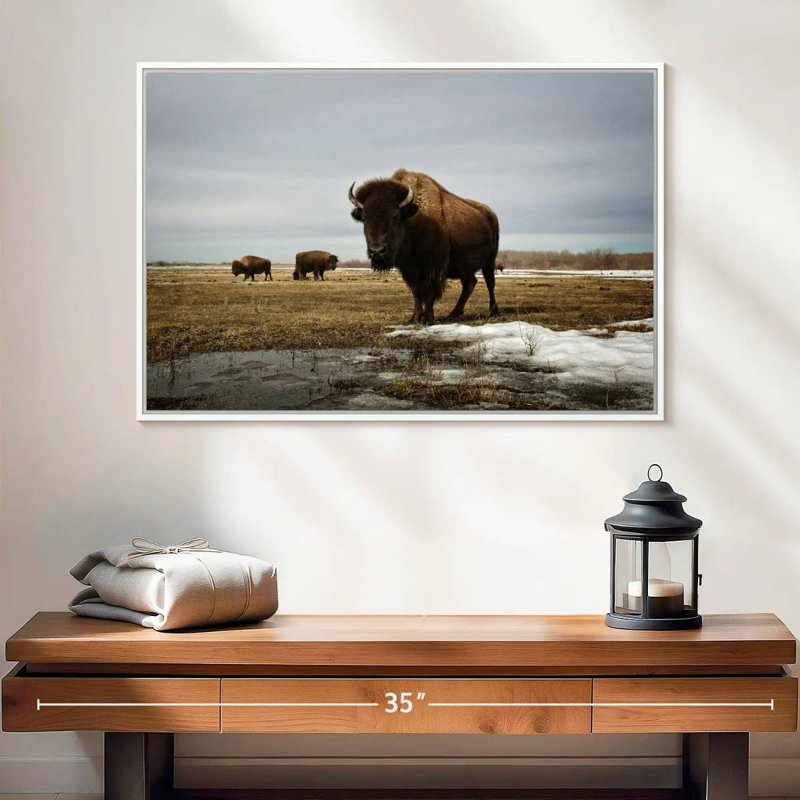 Bison Cloud Day, 25 po x 17 po, Cadre flottant blanc