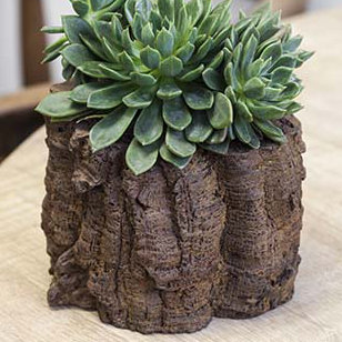 Branch Handmade Planter, Ferro Rustico