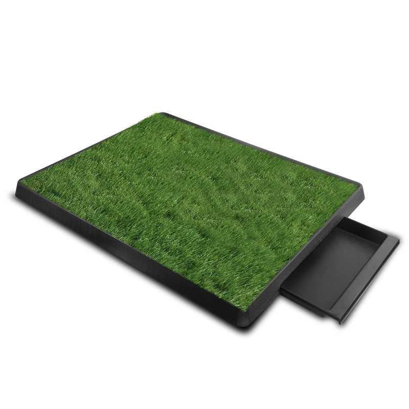 Tapis de dressage