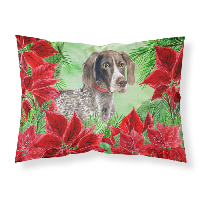 Microfiber, German Shorthaired Pointer