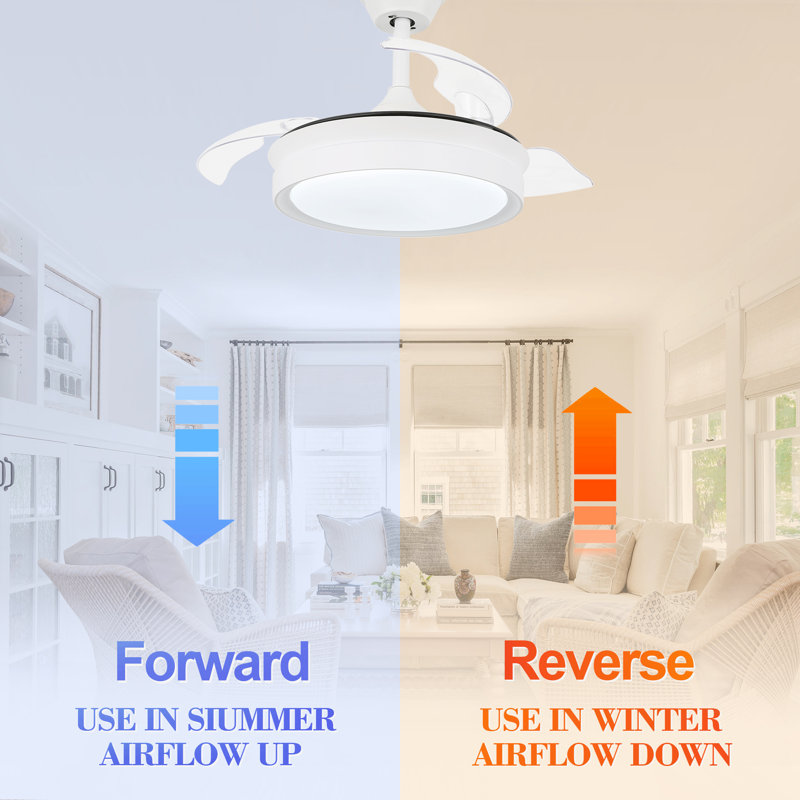 Diab 36'' Ceiling Fan with LED Lights, White