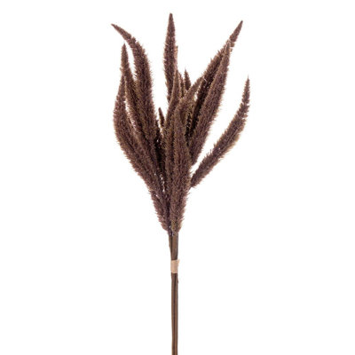 Ensemble de sardine brune 24 po Primrue.