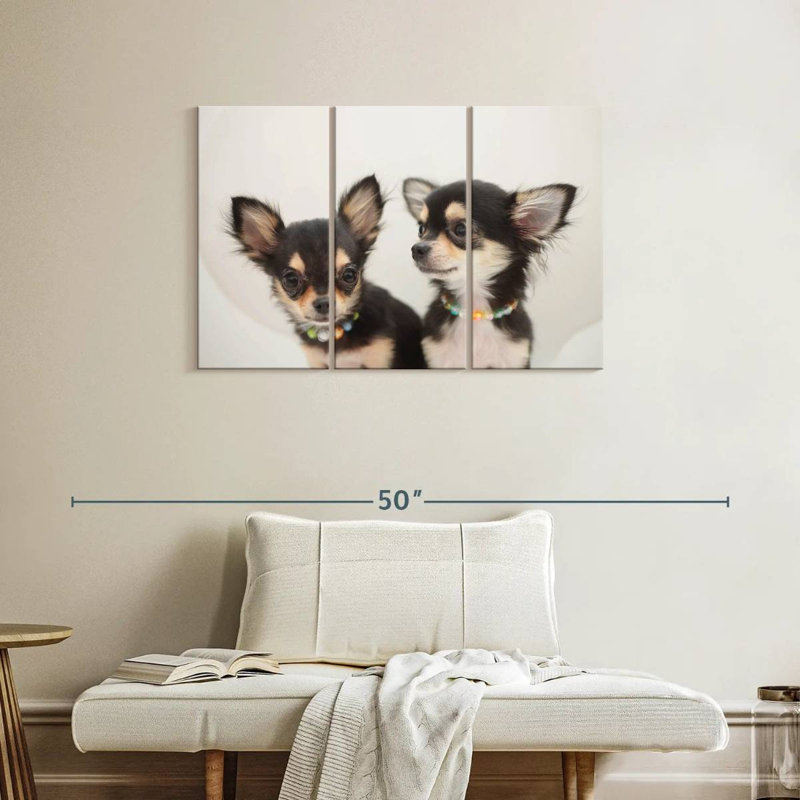 Chihuahua Duo
