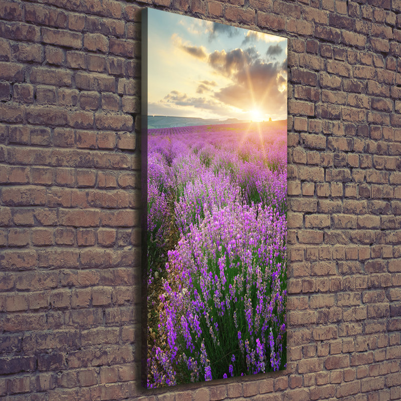 Lavender Field - Wrapped Canvas Print