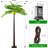 Palm Tree With Glowing Coconuts, Dimmable 400 LED Lights,...