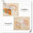 Rebrilliant Plastic Storage Tub & Tote-1554300060