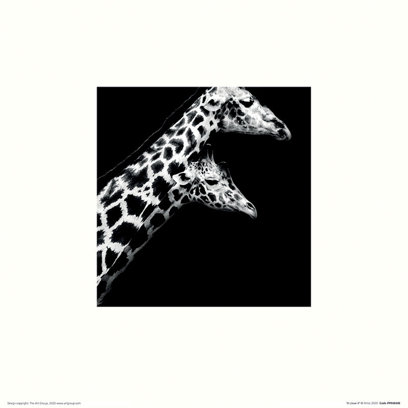 In Love II 1 Piece Wall Art, 30cm H x 30cm W x 0.1cm D