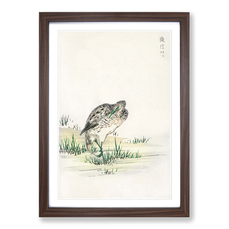 Chinese Little Bittern Bird by Numata Kashu - Picture Frame Painting Print, 36cm H x 27cm W x 2cm D, Walnut Framed