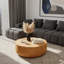 Table basse d'intérieur d'extérieur 35,63 "-1517981967