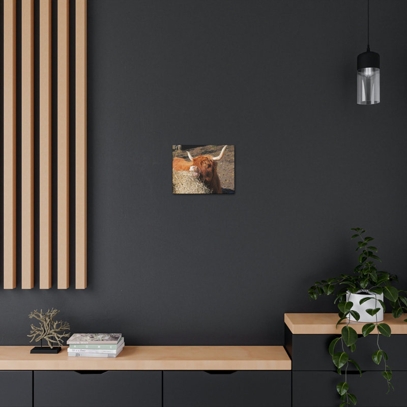 Drôle de Yak, art mural d'extérieur, H 12 po x l 18 po