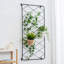 Asaf 61.2Cm H x 61.2Cm W Metal Lattice Panel Trellis