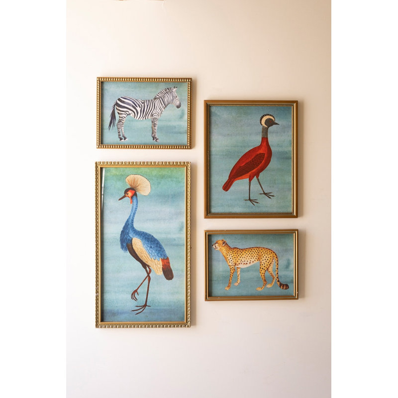 Ensemble de quatre oiseaux encadrés et impressions d'animaux sous verre