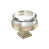 Clear/Golden Champagne