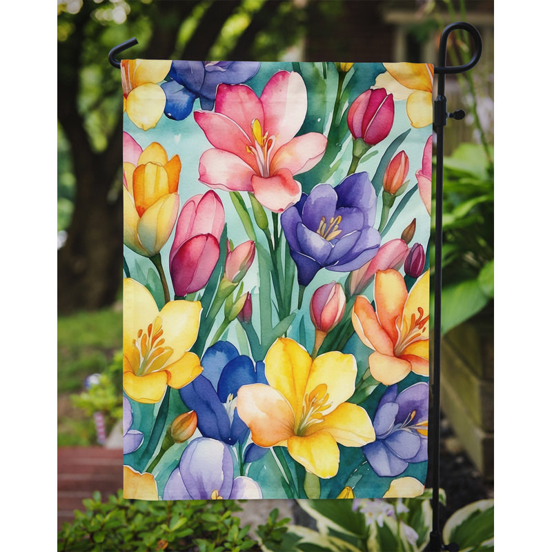 Orchidées paphiopedilum, drapeau du jardin, Fleurs de freesia