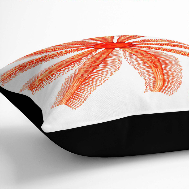 Square Throw Cushion, Black, 40cm H x 40cm W x 15cm D