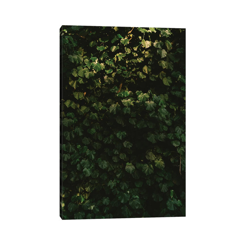 Hawaiian Hearts by Bethany Young - Print on Canvas, Wrapped Canvas, 30.48cm H x 20.32cm W x 1.91cm D