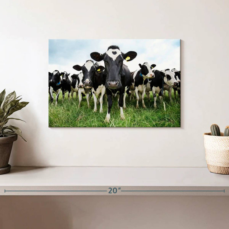 Brampt Holstein Cows, 8" H x 12" W