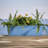Dayton Traditional Recycled Plastic Indoor/Outdoor Rectangle Window Box Planter with Attached Saucer-653893920-666609869