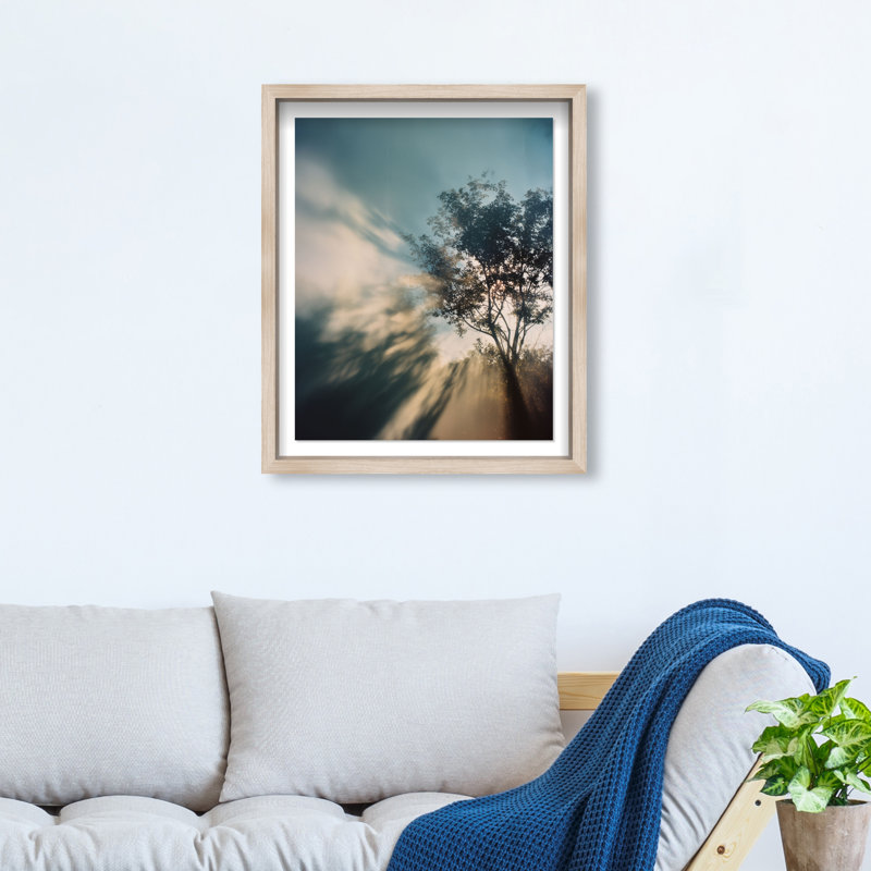 Golden Sunbeams II Shadowbox Floral & Botanical Print by Oliver Gal, Black Frame, 16 x 20, 37.5"H x 46.5"W, White Shadowbox
