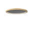 Ceiling Accord Petra-245768815-245768800
