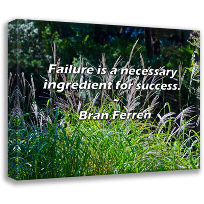 Bran Ferren Quote: Failure is a necessary ingredient for success.