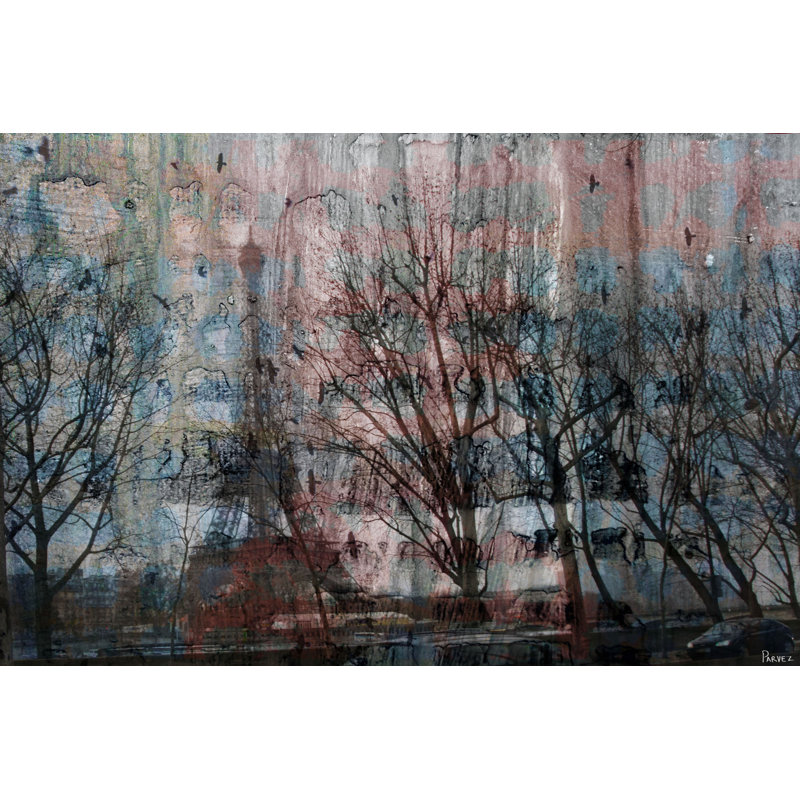 Parvez Taj - Wrapped Canvas Print, 30cm H x 45cm W
