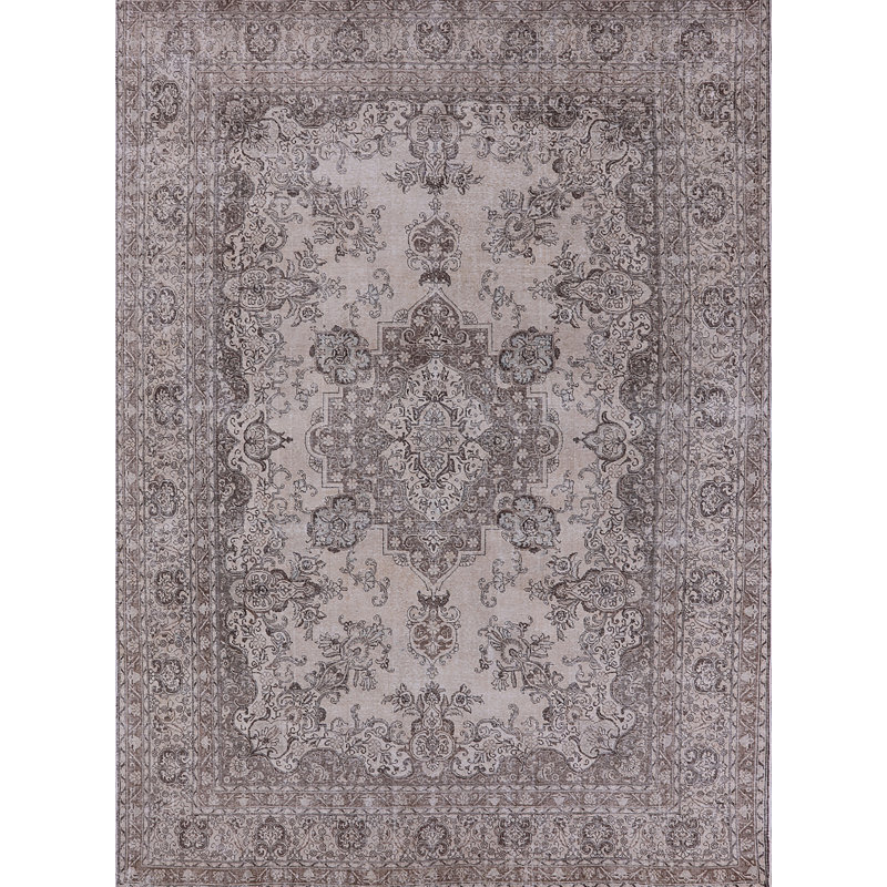 Tapis oriental gris Reshawn, Rectangle 4 pi x 6 pi